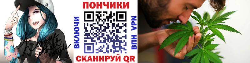 Купить наркотик аптеки Егорьевск Псилоцибиновые грибы  ГАШИШ  Каннабис 