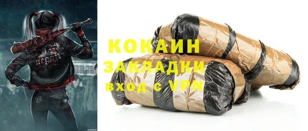 эйфоретик Богданович