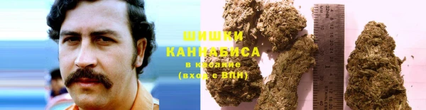 молекула духа Богородск