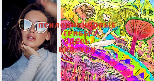 эйфоретик Богданович