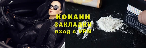 эйфоретик Богданович