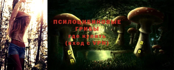 mix Белокуриха