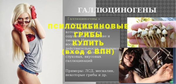 mix Белокуриха